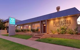 Quality Inn Swan Hill